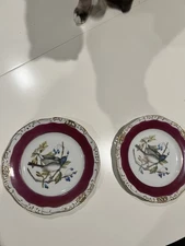 Set Of Two Vintage Japanese Artistic Plates- Wild Bluebird