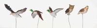 Lemax-84817-962, Assorted Birds, Set/5, Weihnachtsdorf, Winterdorf, VöGel