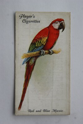 1933 John Player & Sons Voliere & Käfigvögel 30 rote & blaue Ara