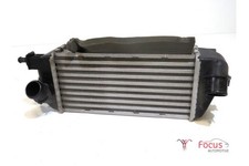 Ladeluftkühler Fiat 500 312 51855481 P23349928