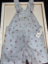 Oshkosh B'Gosh Girls 5T Overalls Strawberry Embroidered Denim Brand New NWT