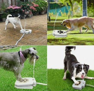 dog foot pedal water fountain
