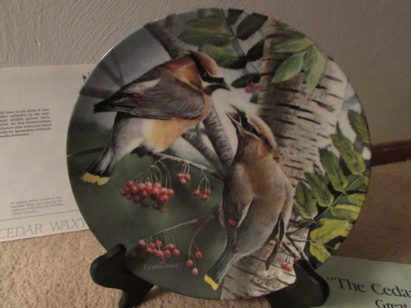KNOWLES Encyclopedia Britannica Birds of Your Garden Plate ~ The Cedar Waxwing