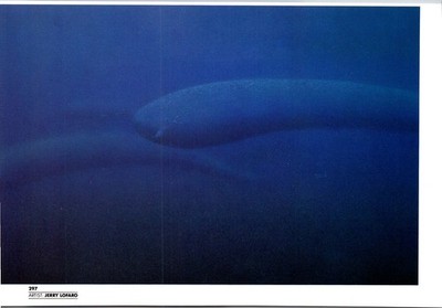 Jerry Lofaro A Deep- Sea Creature Found In The Deep Ocean 1984 Art Picture TB22