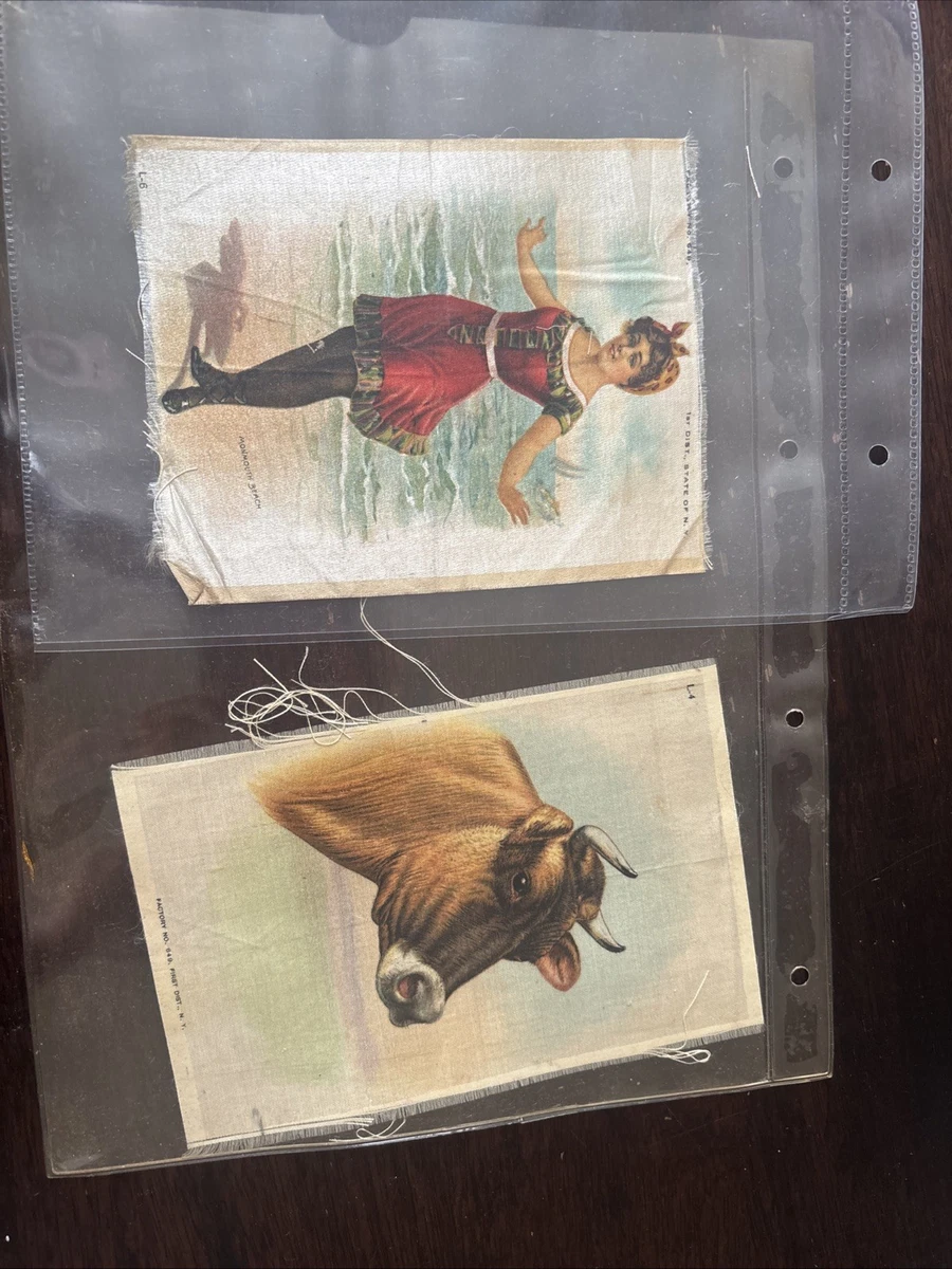 Silk Cigarette Card for sale