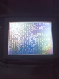 Sega Game Gear- Recapped,2 Games And Works (Fast Shipping)