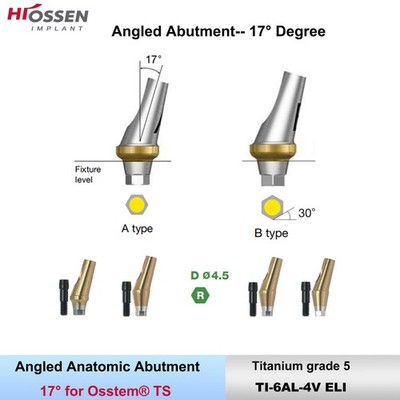 Anatomic Angulated Abutment 17 Degree Angle with screw Regular Ø4.5mm Hiossen