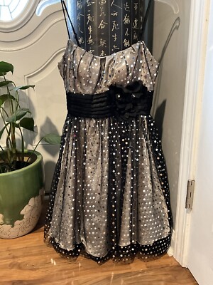 black and silver party dress Ramsey Dress in Black Clipped Metallic Silver Stripe S
