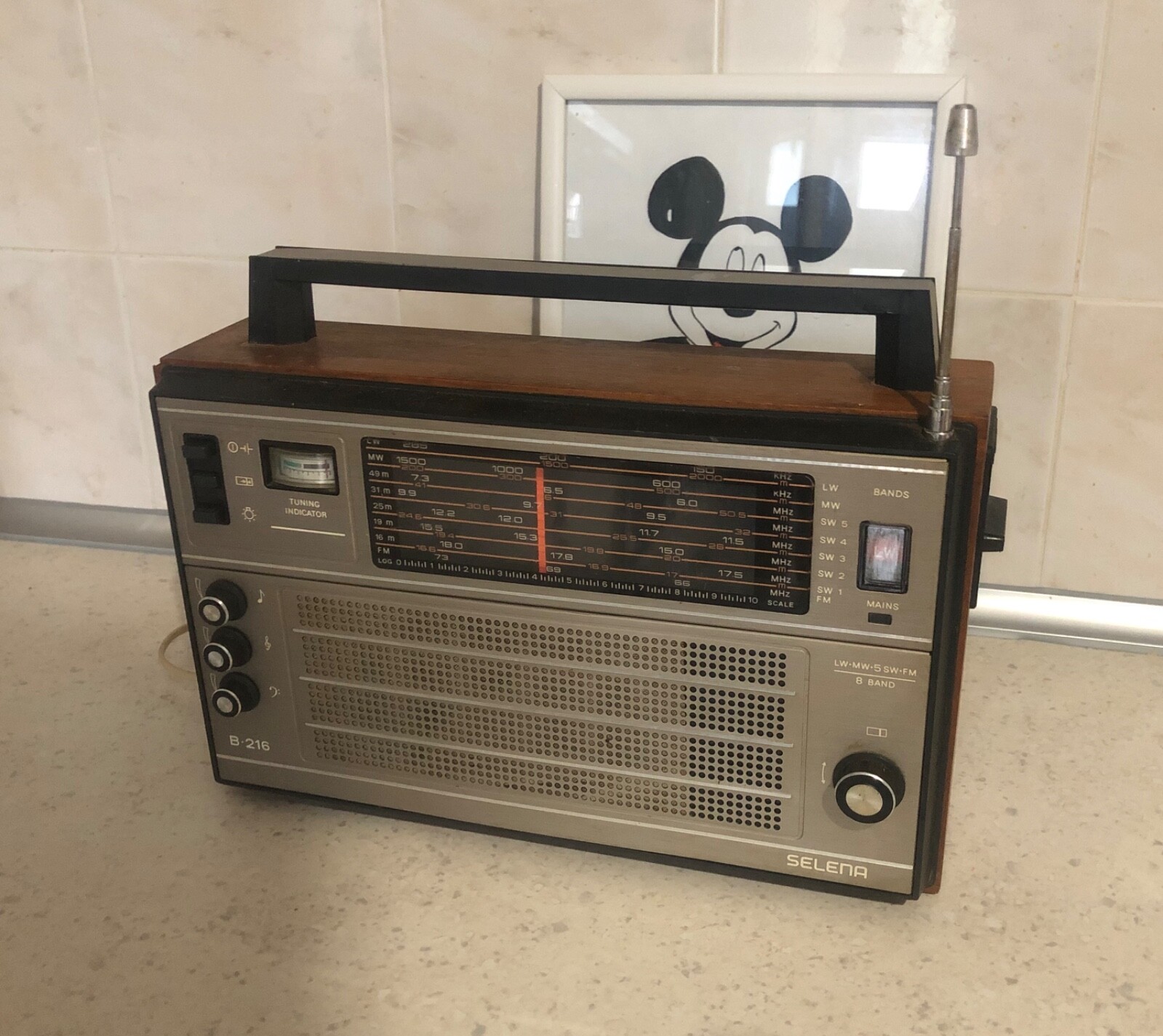 Vintage Soviet Russian USSR Radio SELENA TYPE B 216 LW FM 2SW UHF | eBay