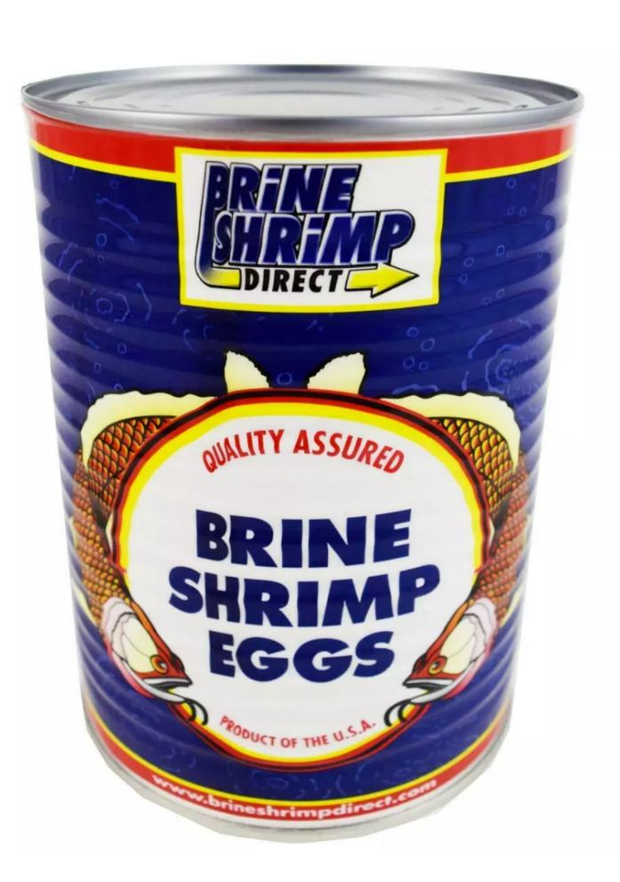 Baby Brine Shrimp Eggs Artemia Cysts 90% Hatch Rate 01 oz, 2 oz