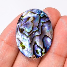 35,00Cts Pierre Sèche En Coquille D'Abalone Oval Cabochon Libre 23x31x5mm