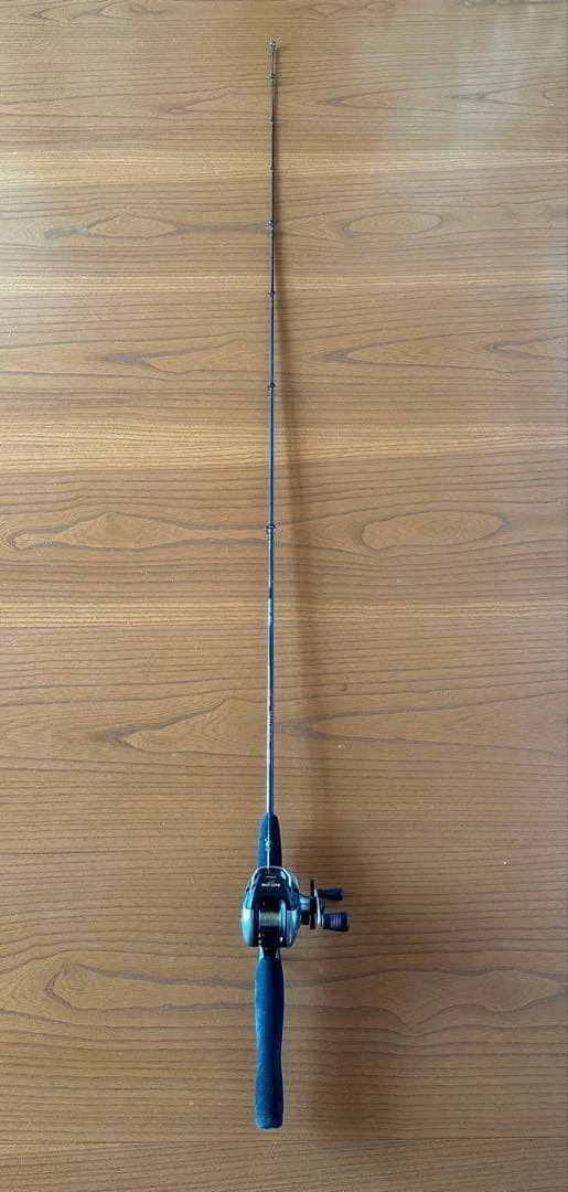 Preços baixos em Team Daiwa em Varas de pesca de arremesso | eBay
