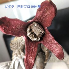 Gabora Ultraman Series Monster Soft Vinyl Tsuburaya Pro BANDAI