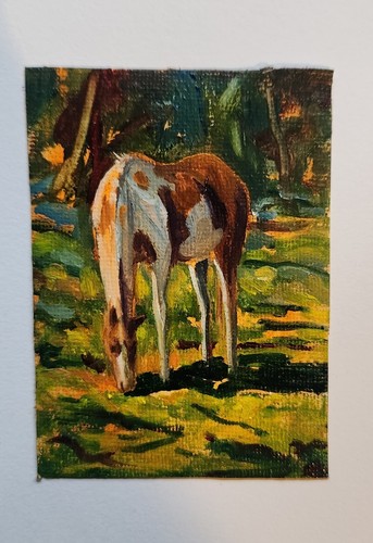 Original Oil Painting~~~PAINT~~HORSE~~~grazing~MINIATURE~20 Minute Study~