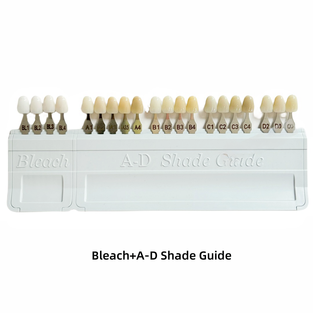 Dental Teeth Shade Guide Porcelain Ivoclar 20Color A-D Tooth 4
