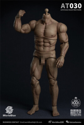 Worldbox AT030 Durable Body-ripped Body Male Figure fit Hot Toys Phicen Head 1/6