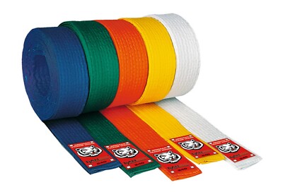 Budo Gürtel Junior v. Dan Rho. Karate, Judo, TKD, Taekwondo, Ju Jutsu, Kickboxen