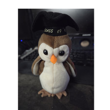 Ty Beanie Baby Wise Owl Plush w/ Graduation Cap Hang Tag Class of '98