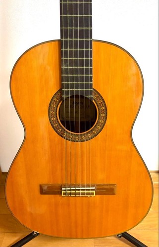 Morris MC-112 Classic Guitar Morris Gut Guitar