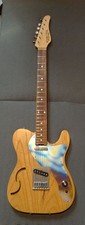 Schecter PS-S-PT-TH Custom Titanium Telecaste...