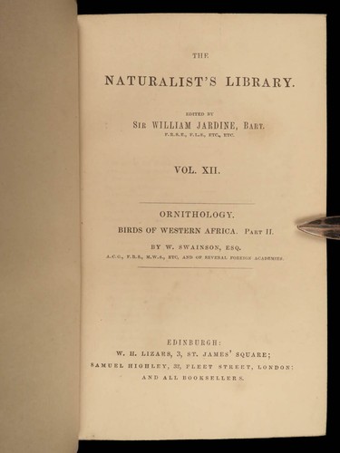 1840 BIRDS Ornithology William Jardine Western Africa Naturalist Color Plates - Picture 7 of 24