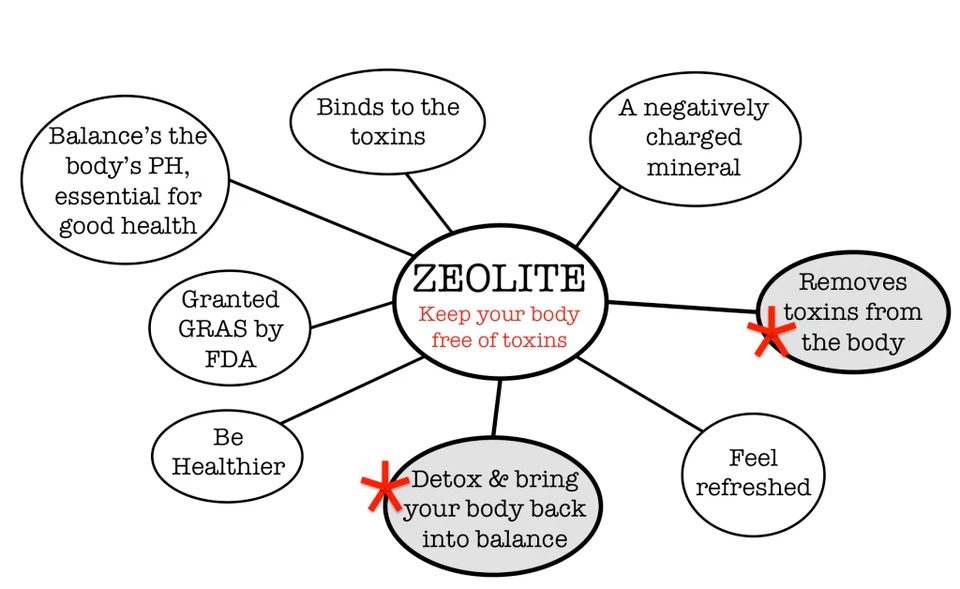 2-Extra Strength Liquified Zeolite Liquid Natural Detox para MENTE E CORPO PUROS # - Imagem 4 de 4