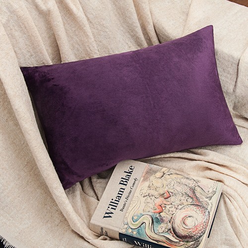 Velvet Cushion Cover 2 Pack Ultra Soft Various Colors Throw Pillow Case - Picture 52 of 64