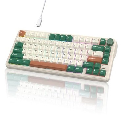 75% Retro Green Wired Hot Swappable Mechanical Keyboard with Metal Knob | Mou...