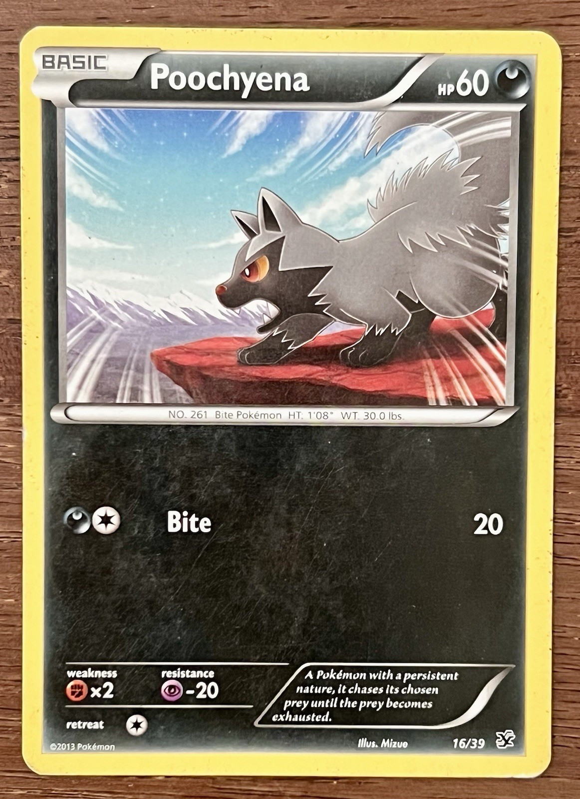 Poochyena - 16/39 - Moderately Played