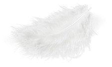 Piume Meyco Marabu bianche 17 pezzi lunghe circa da 10 a 12 cm
