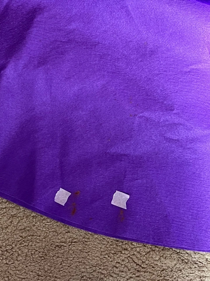 Falda Caniche Retro Charades Adulto Mujer Mediana Fieltro Púrpura Años 50 Elástico COSPLAY Foto 4 de 4