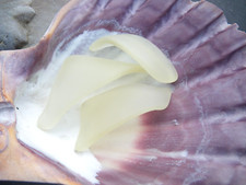 Sea Glass, Rare Three Thick Yellow