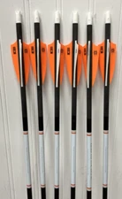 VICTORY CROSSBOW 2O INCH BOLTS ALPHA NOCKS! (MUZZY) 6PK