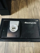 SENTRY SAFE X031 Safe,Key,Steel,0.35 cu ft 2GTP2