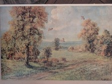 Pastime Puzzle Wood Jigsaw 705 Piece " Meadows In Autumn"