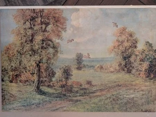 Pastime Puzzle Wood Jigsaw 705 Piece " Meadows In Autumn"