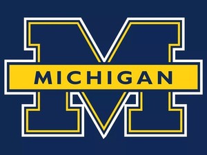 University of Michigan Wolverines NCAA Mens Long Sleeve Polo XS-6XL, LT-4XLT New