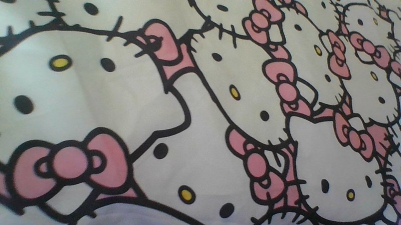 Hello Kitty 2025 Sanrio Top Sheet TWIN Size Flat Sheet Oeko Tex New w/o Tag