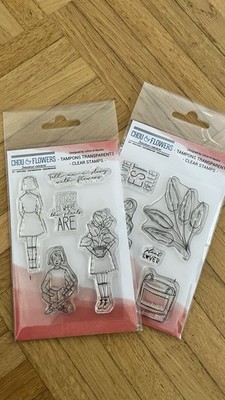 Stempel Chou Flowers  Plant Lover  +  Plant Lady  Concept Home