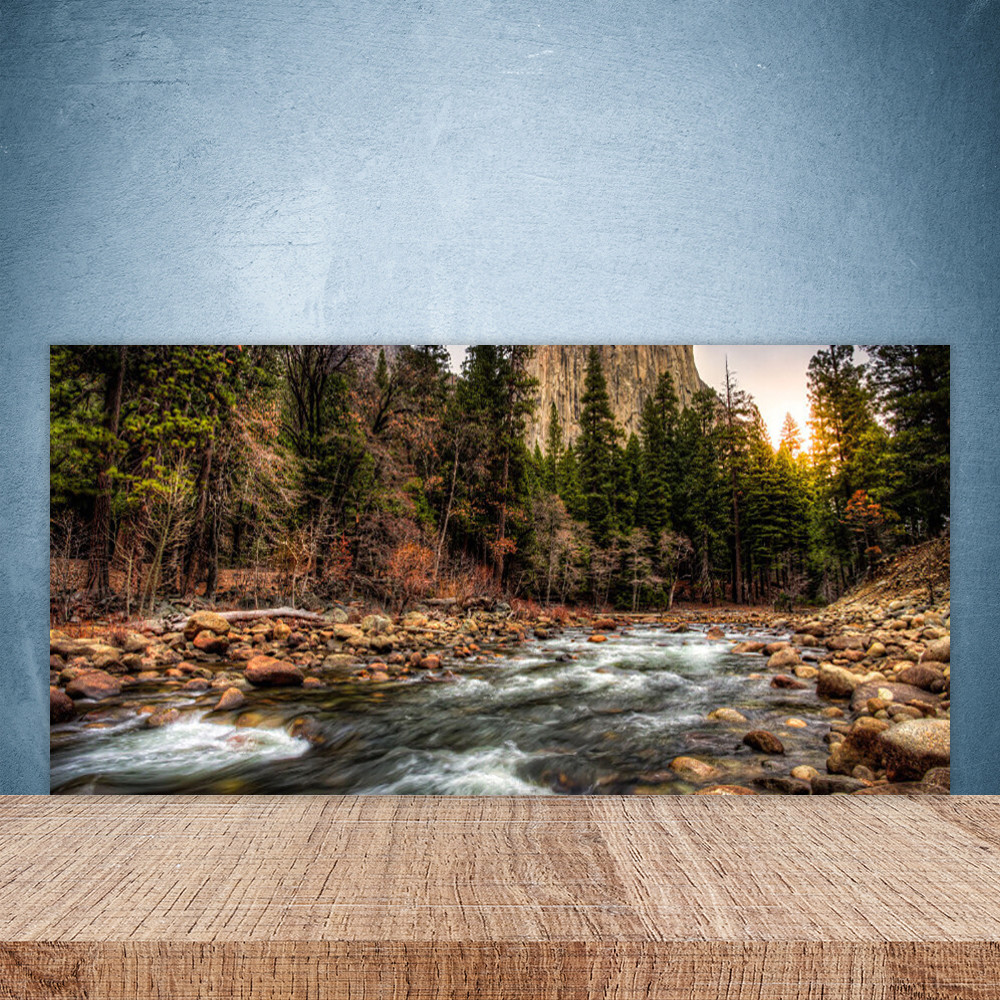 Crédence de cuisine en verre 100x50 adieu taches de graisse panneau mural forêt lavable