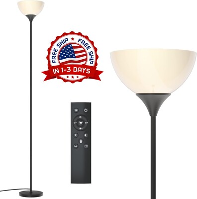 Lámpara De Pie Contemporánea De 49ft Con Interruptor De Pie US NUEVO