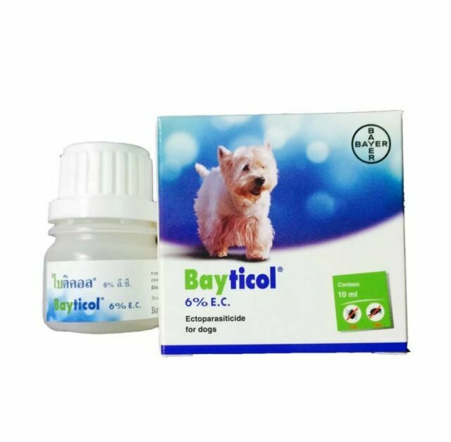 dog snowsuit with feet