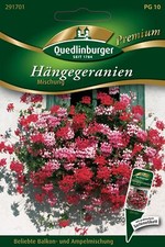 Hänge-Geranien Mischung Samen von Quedlinburger Saatgut