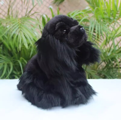 American Cocker Spaniel Hund 10'' Plüschtier Plüsch Spielzeug Puppe Geschenk