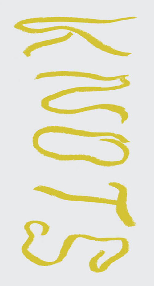 Thumbnail - Seth Price Knots Bettina Funcke Taschenbuch Spiralbindung 102 S.