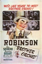 69509 Brother Orchid Edward Humphrey Bog Wall Decor Print Poster