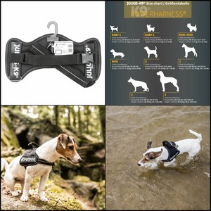 Détails Sur Harnais Petit Chien Julius K9 162p M Powerharness Taille M Noir