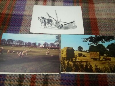 3 KARTEN LANDWIRTSCHAFT, SCHNITTER, FRÜHLING, ERNTE, NORFOLK FEDERATION WI              