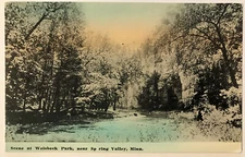 Scene at Weisbeck Park, near Spring Valley, Minnesota MN Postcard