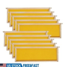 Beehive Medium Super Frames 10 Packs Pine Wood W/ Food Grade Waxed Foundation US